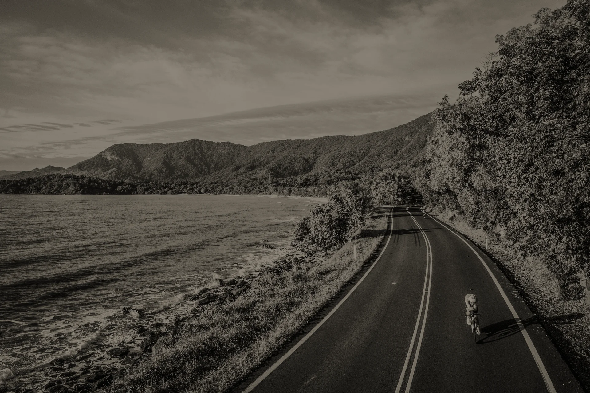 Summit Triathlon Coaching — get in touch