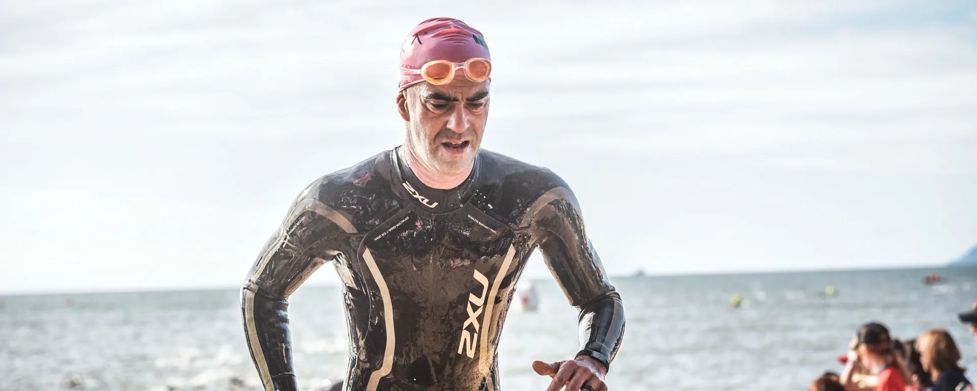 Training load metrics and data